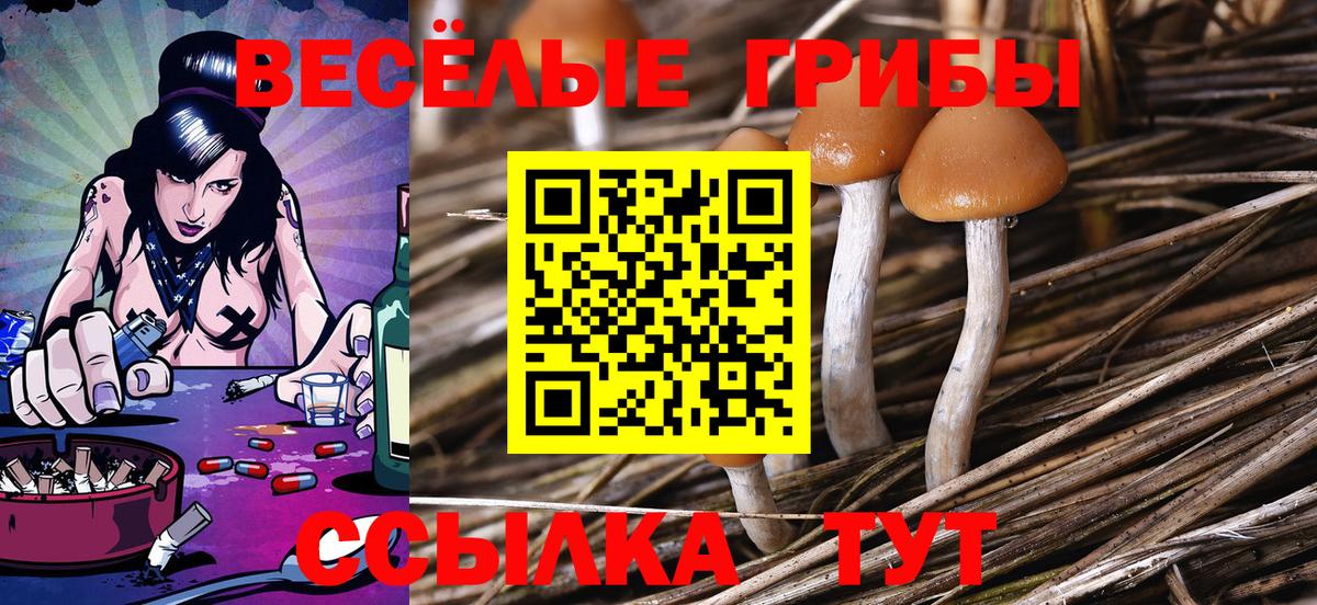 дарнет шоп  Вход с VPN  Луховицы  Псилоцибиновые грибы MAGIC MUSHROOMS  Галлюциногенные грибы мухоморы 
